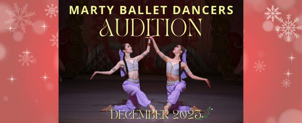 MBDオーディション